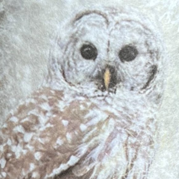 NWOT Glass Owl Candle Holder w/ Unscented Glitter Candle Ethereal - Picture 4 of 15